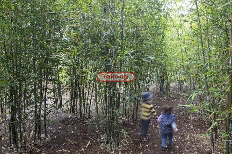 伊恩波特兒童野趣游樂公園(圖13)