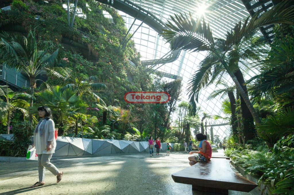 Gardens by the Bay – Conservatories